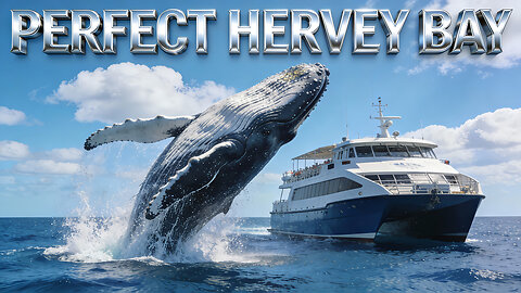 Perfect Hervey Bay Queensland Australia