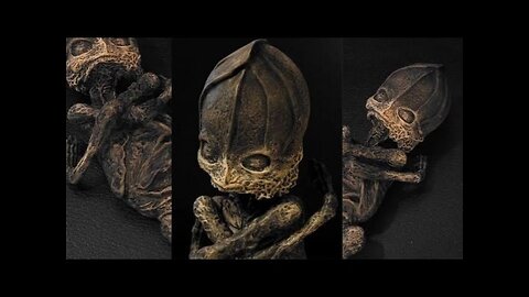 Otherworldly Creature Found in Russia - Alyoshenka Incident