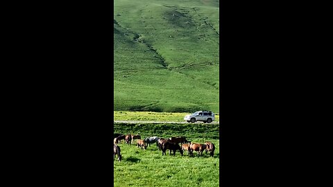 Beautiful place in the world 🌍