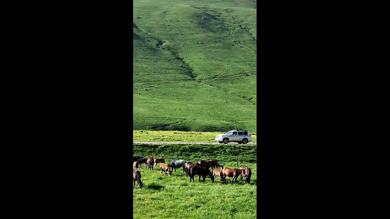 Beautiful place in the world 🌍