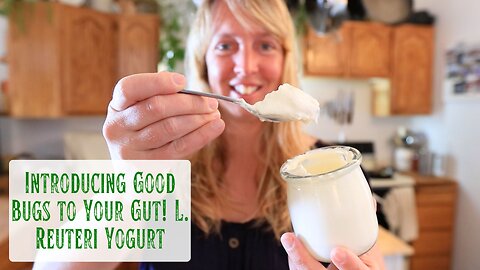 Introducing Good Bugs to Your Gut! Easy Homemade L. Reuteri Yogurt & How I Store Starter When Busy