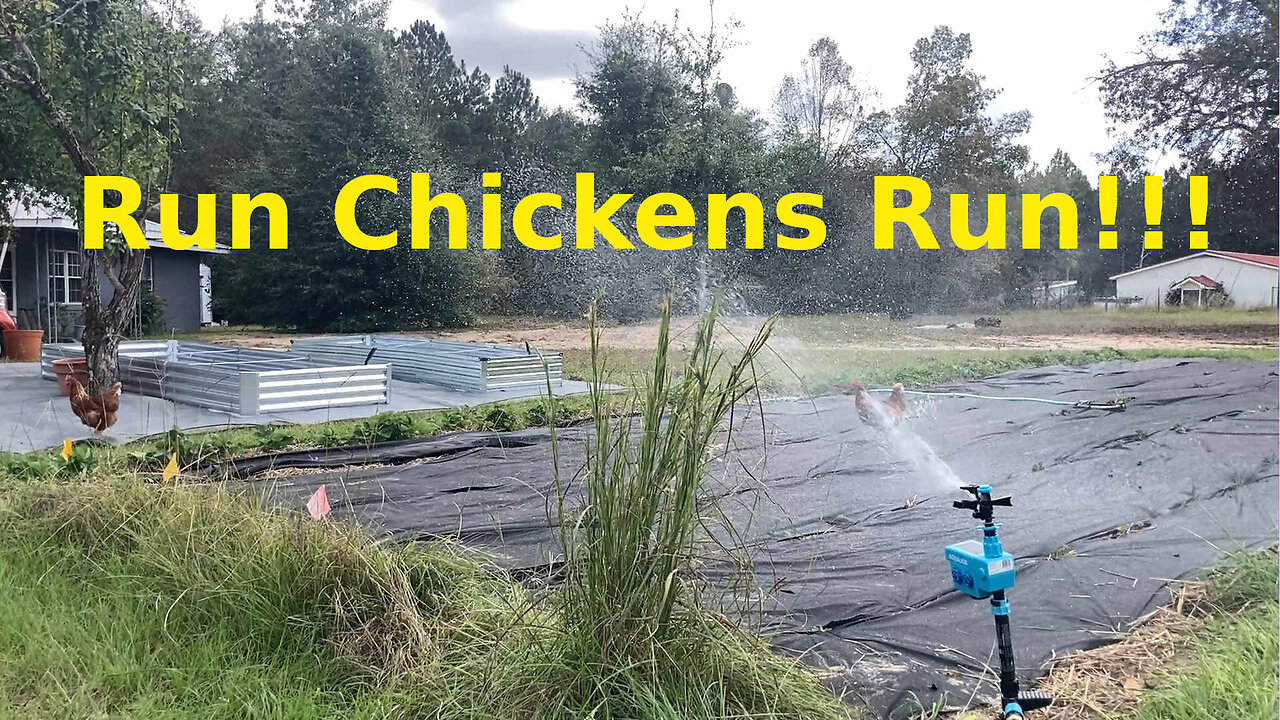 How to Protect Your Garden From Deer and Chickens