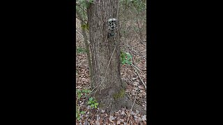 Olight USB-c rechargeable batteries