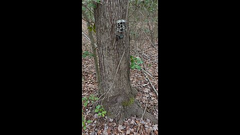 Olight USB-c rechargeable batteries