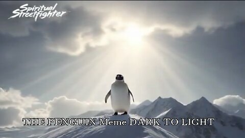 THE PENGUIN Meme DARK TO LIGHT- Spiritual Streetfighter17