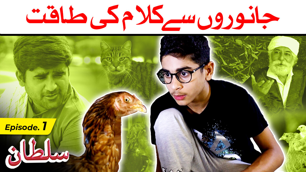 Janwaron se Kalaam ki Taqat - Sultan Ep01| Power to Converse with Animals | جانوروں سے کلام کی طاقت