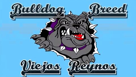 BULLDOG BREED - Take´em all (Subtítulos español-inglés) Versión de COCK SPARRER