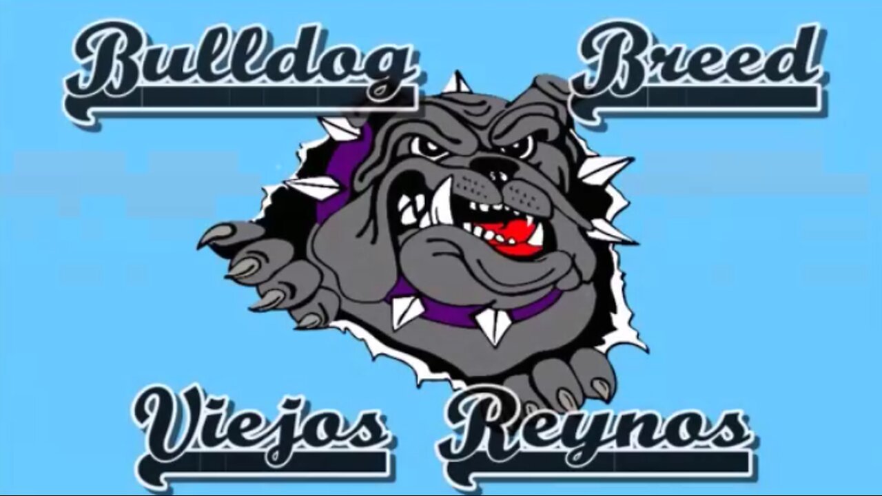 BULLDOG BREED - Take´em all (Subtítulos español-inglés) Versión de COCK SPARRER