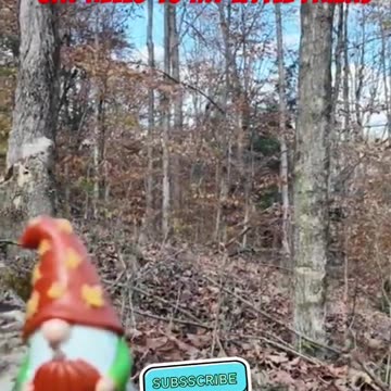 Say hello to my little friend from the FLT