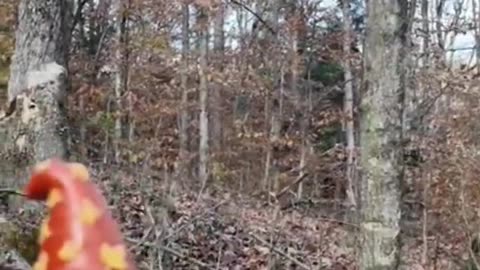 Say hello to my little friend from the FLT