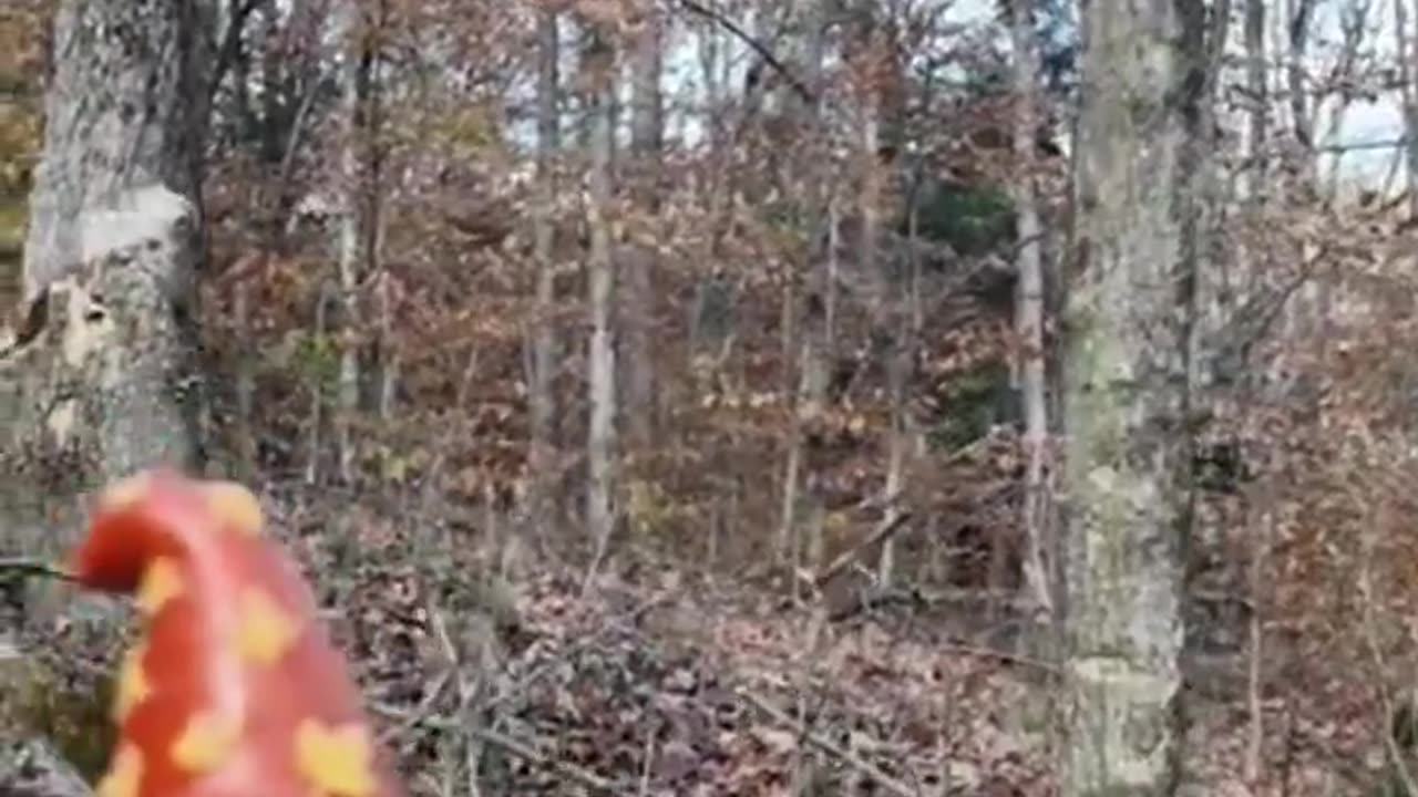 Say hello to my little friend from the FLT