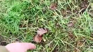 💣🛰️ Ukraine Russia War | Ukrainian Forces Foil Russian Drone Operation | RCF