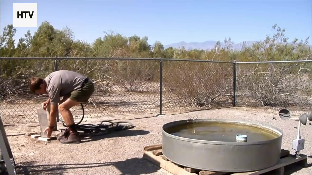 The Escape Artists of the Animal Kingdom