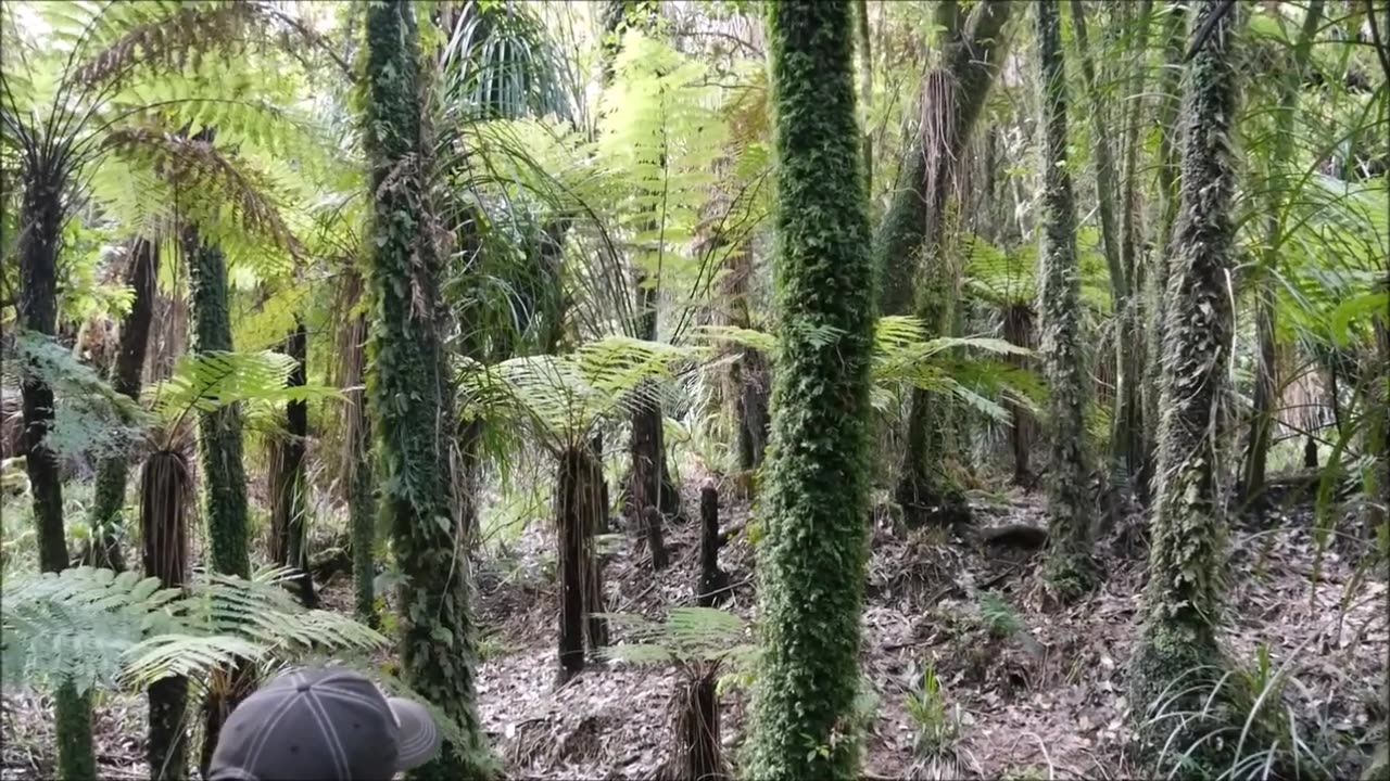 Bullet goes through hut while having breakfast