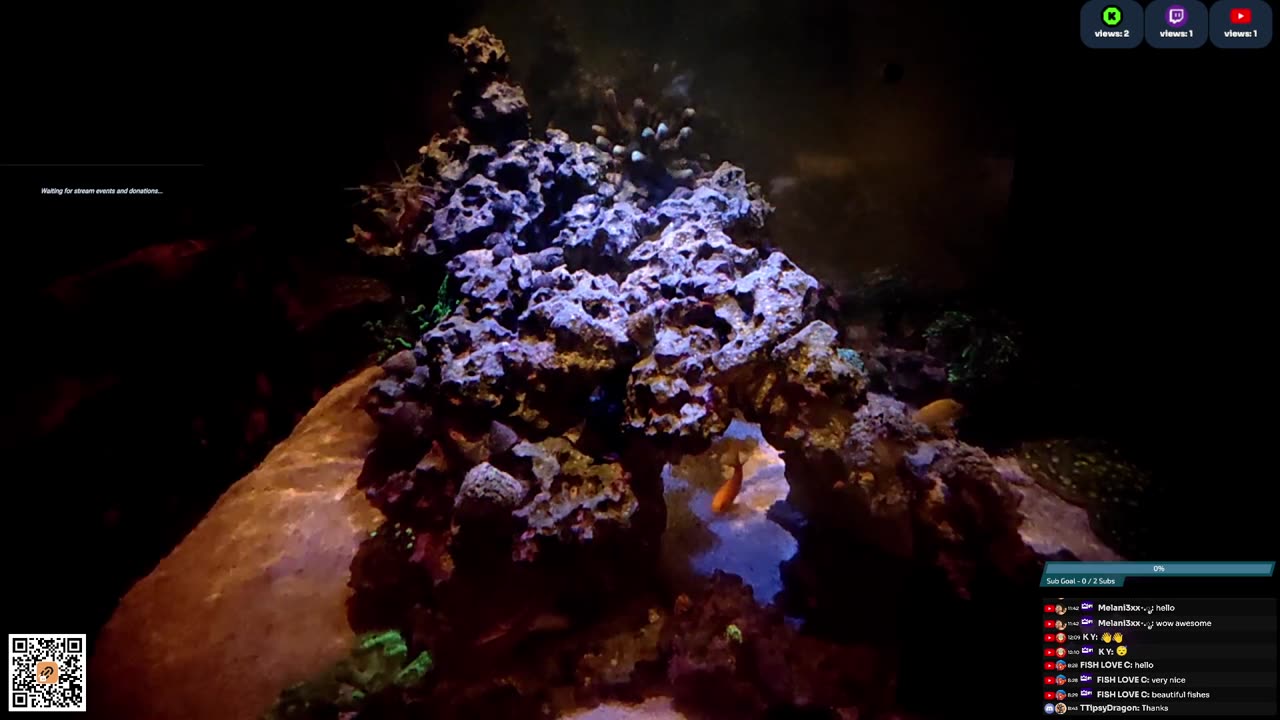 24/7 Real Live Reef Stream