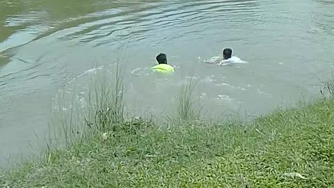 Small river try to swimming