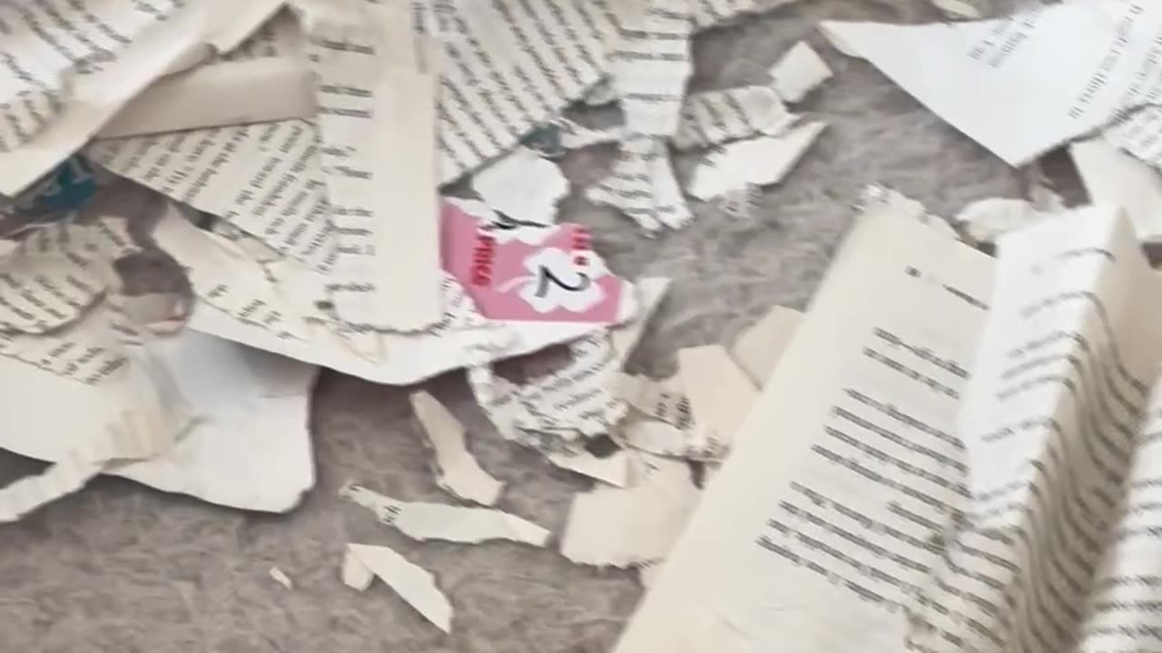 Evidence Is Right Under His Nose