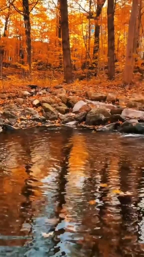 Nature photography Beautiful view video nature Beautiful nature scenes