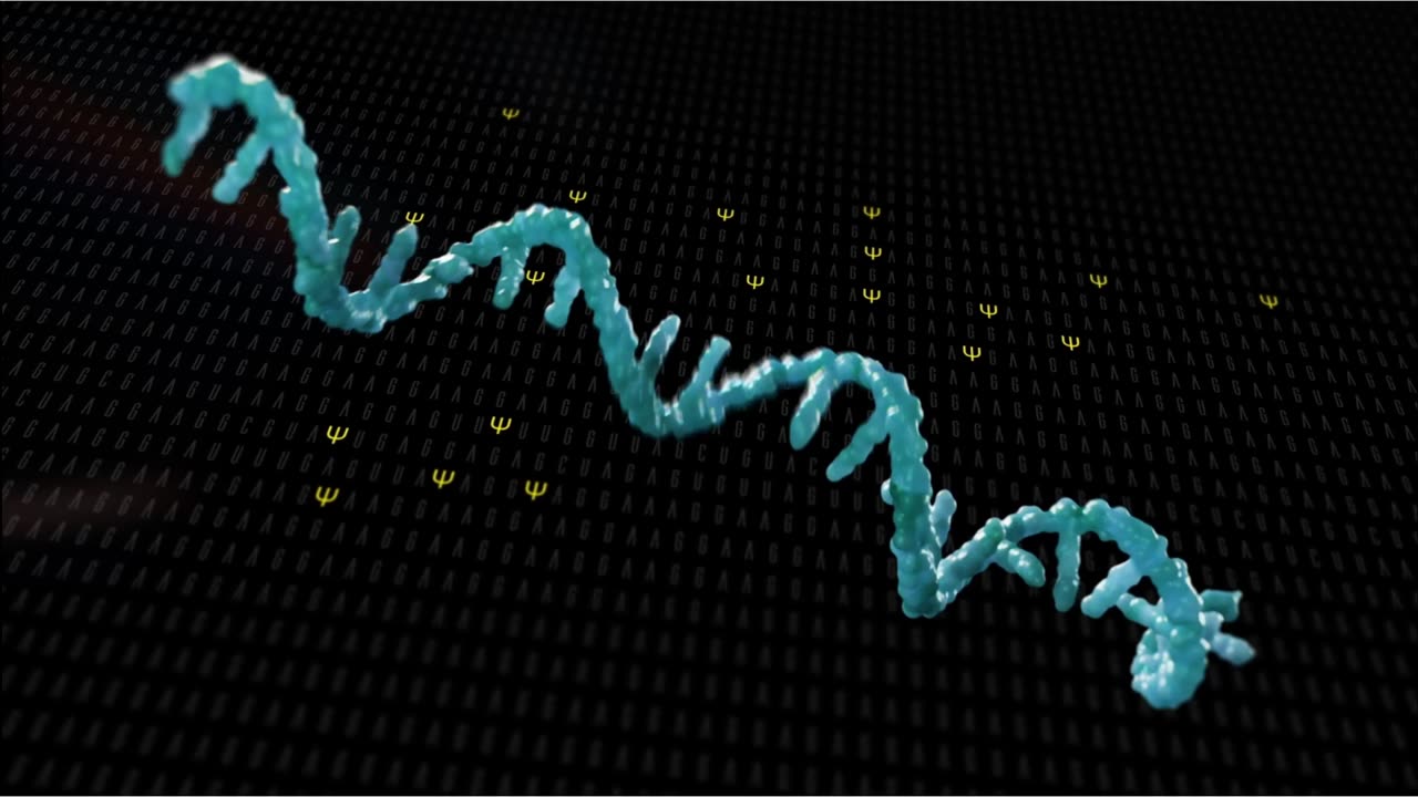 Synthetic mRNA problems