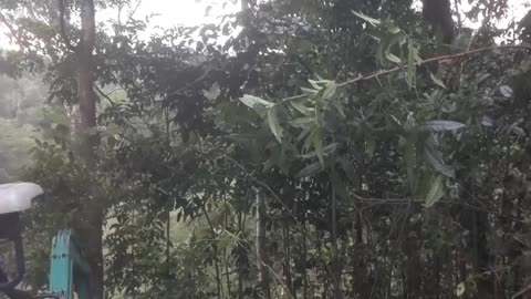 Can He Clear It? USA Mountain Excavator in 60 Seconds! (Rumble Exclusive)