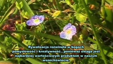 Gry Bogów Akt 2 - Artyści i Widzowie nap PL