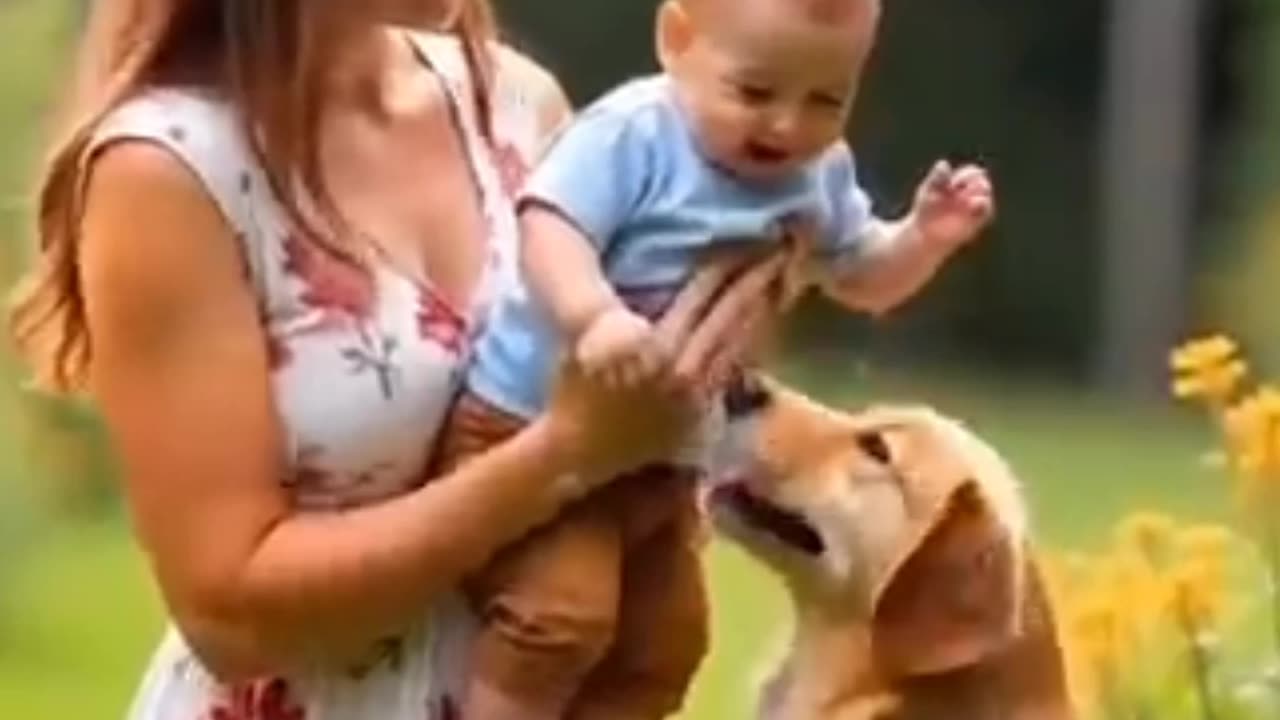 😯Heroic Golden Retriever Rescue Baby After Saving Accident😱🥀