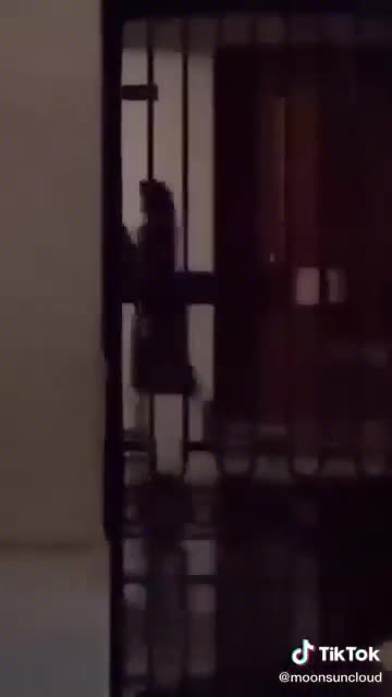 blackpink lisa kpop 2026