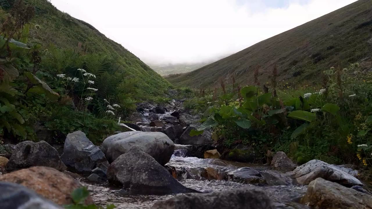 Peace of Nature, Relaxation with Water Sounds, Waterfall and Stream Sounds