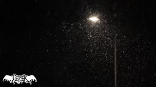 LEPER _ WE THREE KINGS alt version