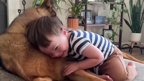Pets and babies playing