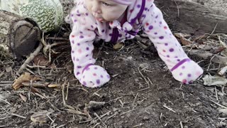 baby kayla crawling around with the bunnies 🐰 cutest friendship ever!