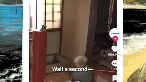 Just shorts videos - Follow 😜😋!!!!!!!