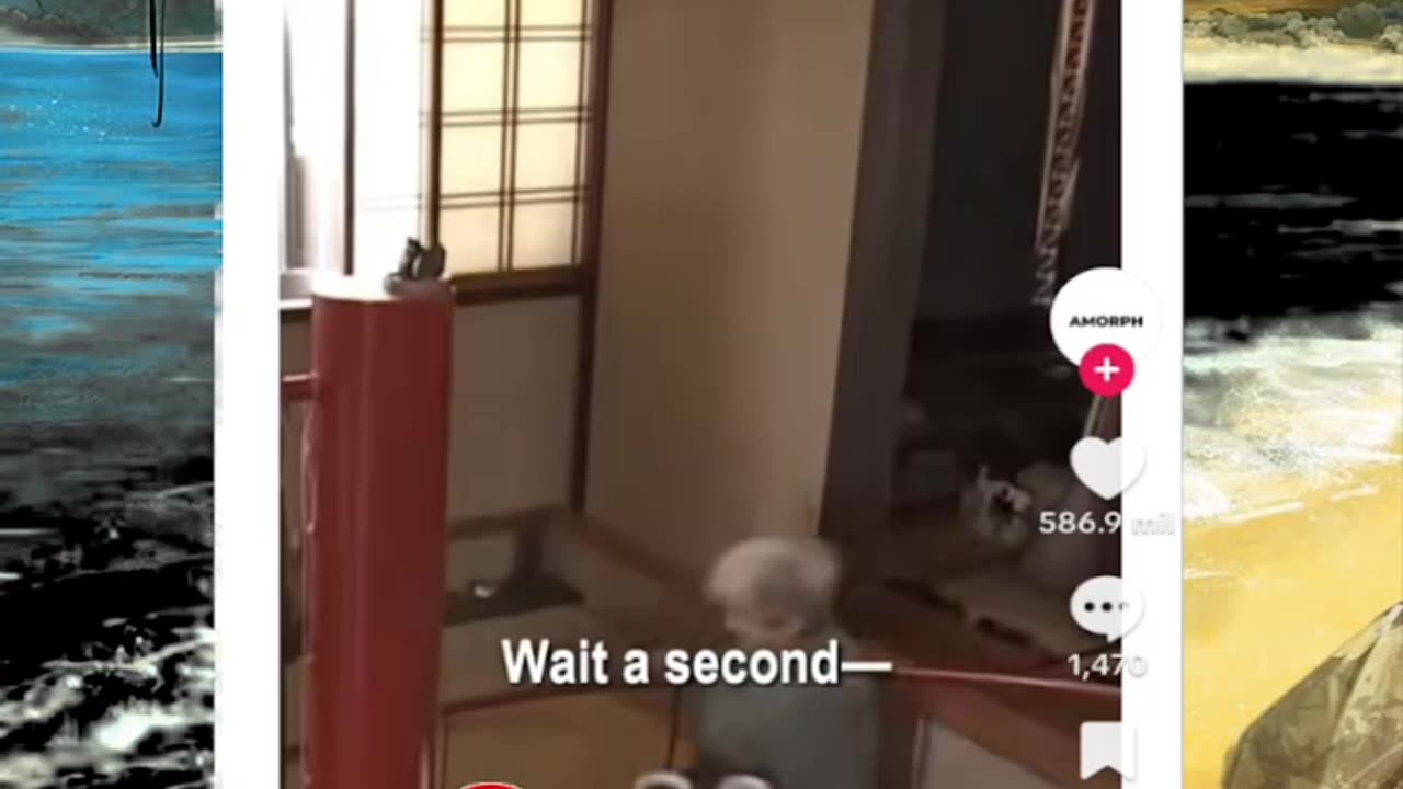 Just shorts videos - Follow 😜😋!!!!!!!