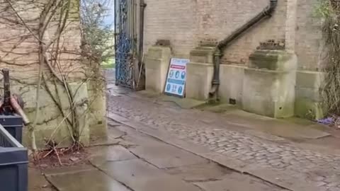 P.9 More proof that the Rothchilds’ family was raided between 2018 - 2020 (Defender Europe)