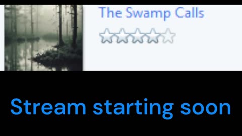 HAlf day of work means, half day of STreamin