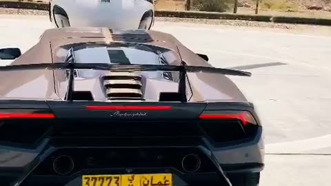 🏎️💨 The Most STUNNING Car Collection You'll See! | LuxurySportsCars