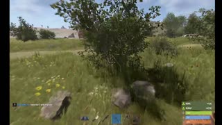 Rust pve