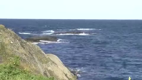 2015 KDDL2 DVD9 of 12 - ARhAyas EAsha