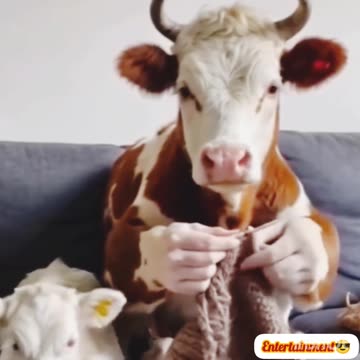 Funny😝😝 comedy😝🤣 video😝