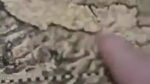 The map found said to be 1562 was really suppose to be 562 which is way older