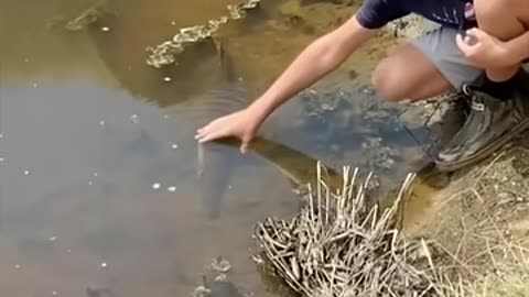 Country boys doing a little hand fishing on a summer day!