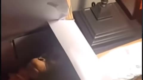 😱👻 You Won't Believe What They Caught on Camera! Ghostly Encounters | TheHauntingHour