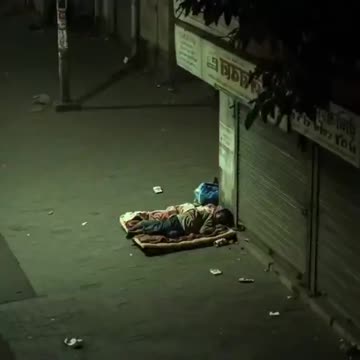 STINKY JEETS: A Homeless Jeet is About to Become Dinner for a Lion but His Body Odor Saves Him