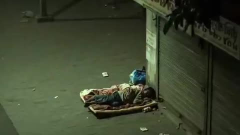 STINKY JEETS: A Homeless Jeet is About to Become Dinner for a Lion but His Body Odor Saves Him