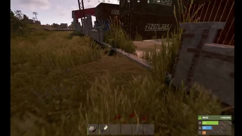 Rust Wipe day 2