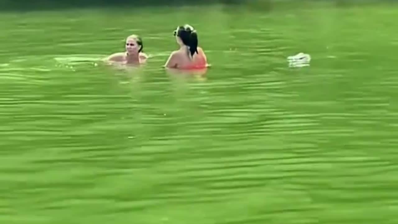 Fake crocodile prank