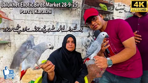 Birds market karachi