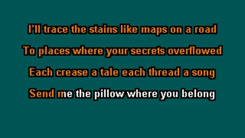 SendMeThePillowYouDrinkOn(Karaoke)