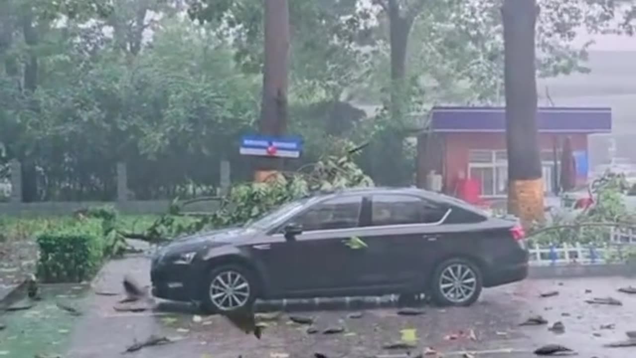 Fish Fallin From Sky