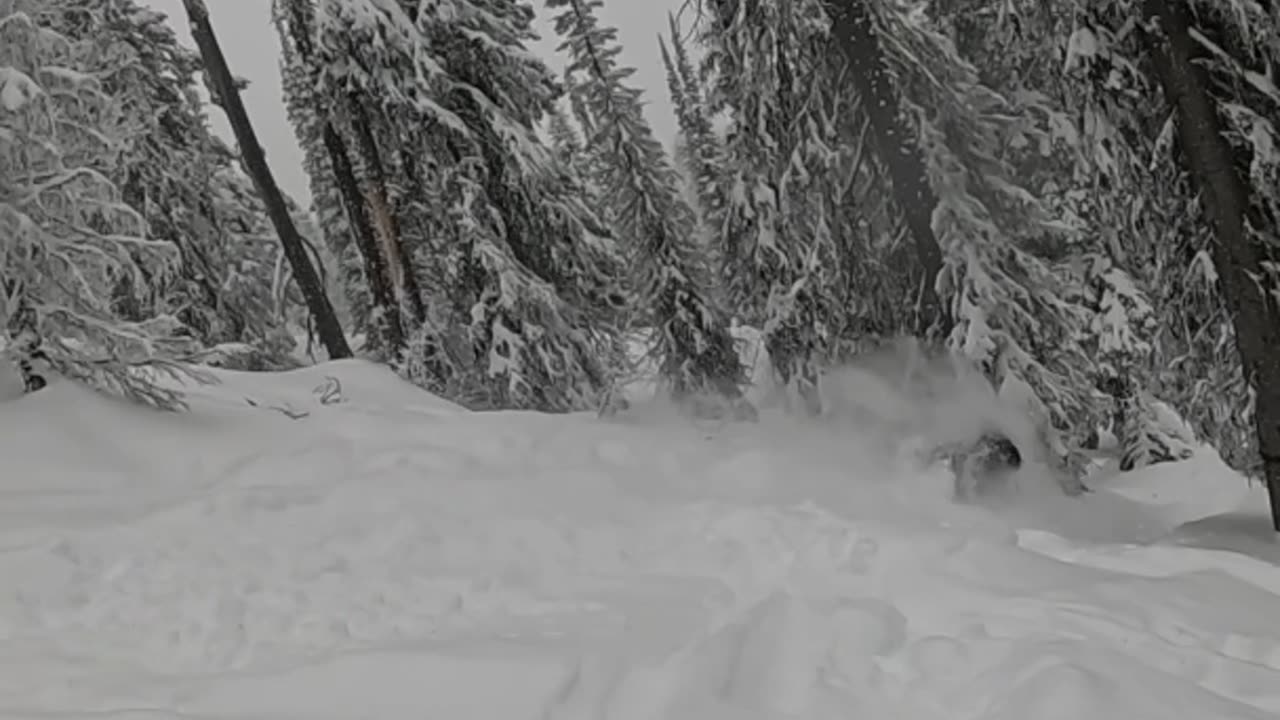 Snowboarding with Amelia Earheart’s Distant Relative